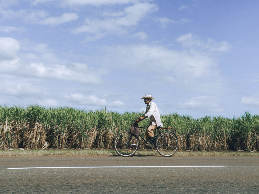 How to Travel Sustainably Without Making Your Trip More Complicated